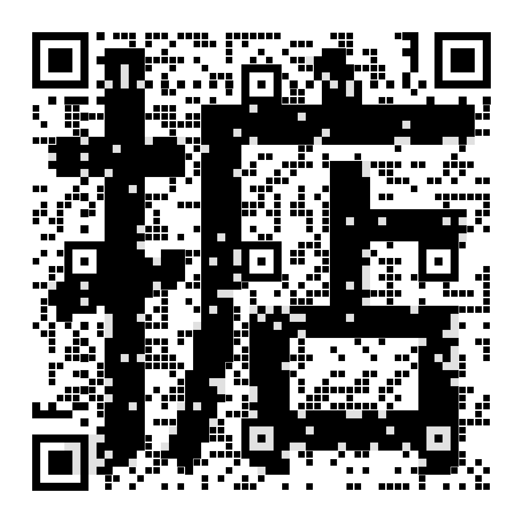 A QR code drawn as “掂”
